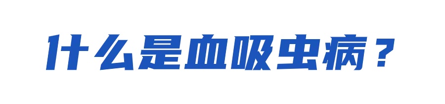 接触10秒即可感染！汛期，当心这种病