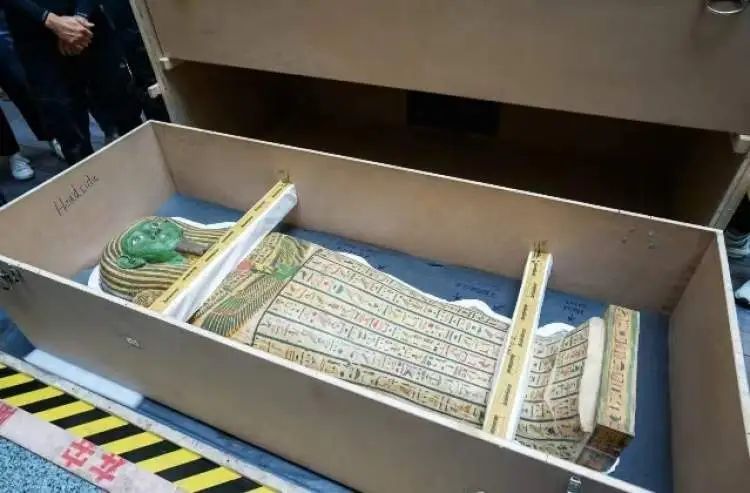 搬空埃及博物馆?避难托孤?边角料展?上博馆长澄清 搬空埃及博物馆?避难托孤?边角料展?上博馆长澄清