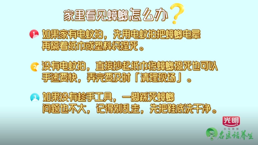 实用！夏季蟑螂大作战 3招轻松赶走烦人蟑螂