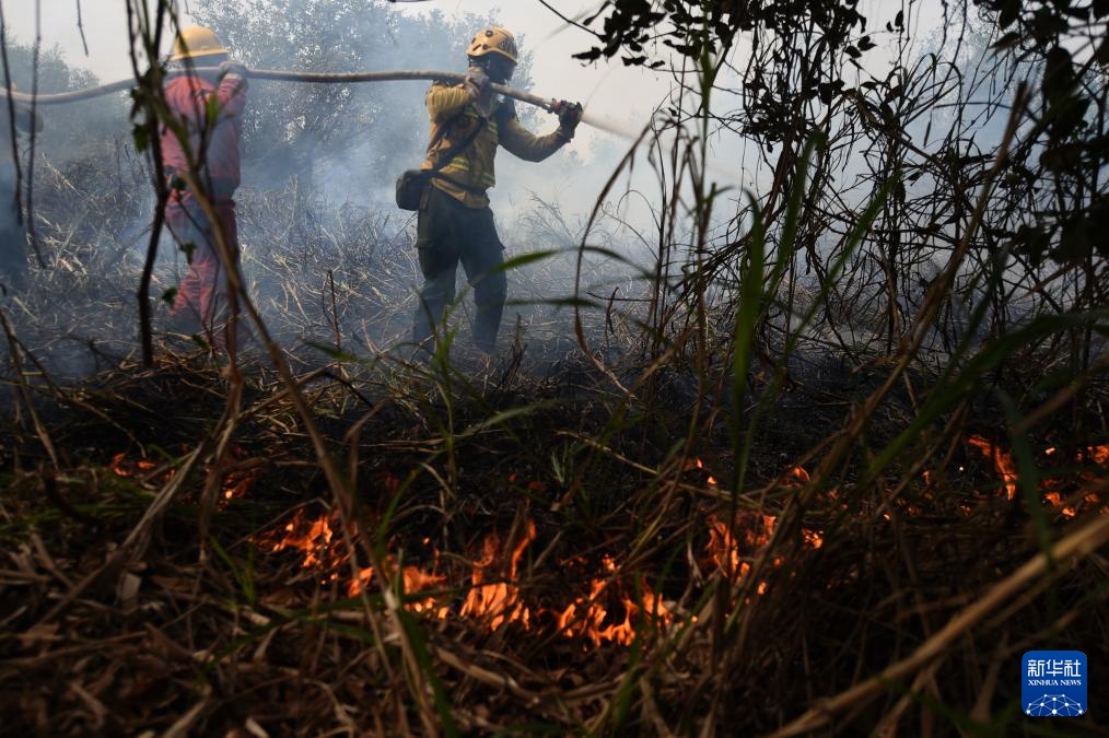 巴西潘塔纳尔:灭火