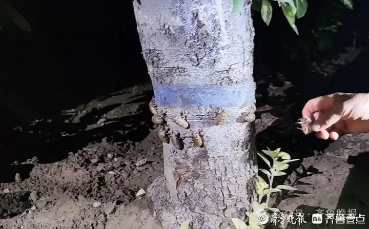 一晚上收入近2000元！济南这里又火了：预订排到一周后
