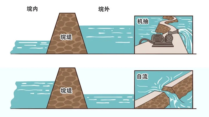 决堤近77小时后,洞庭湖决口成功合龙 决堤近77小时后,洞庭湖决口成功合龙