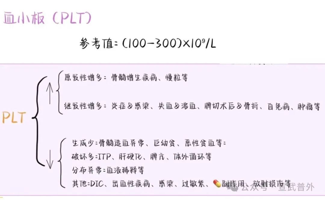 一分钟带你了解血常规 一分钟带你了解血常规