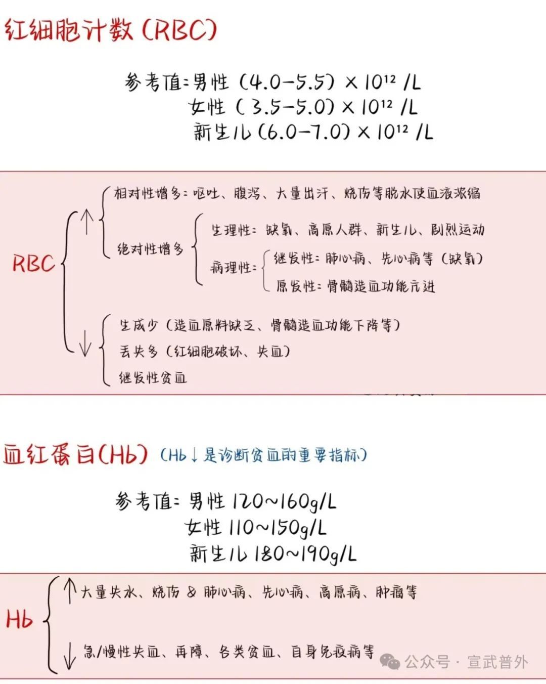 一分钟带你了解血常规 一分钟带你了解血常规