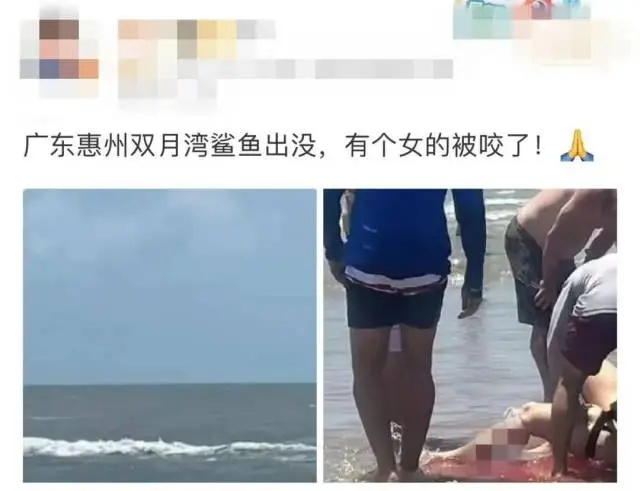 惠州双月湾有鲨鱼出没咬人？当地辟谣