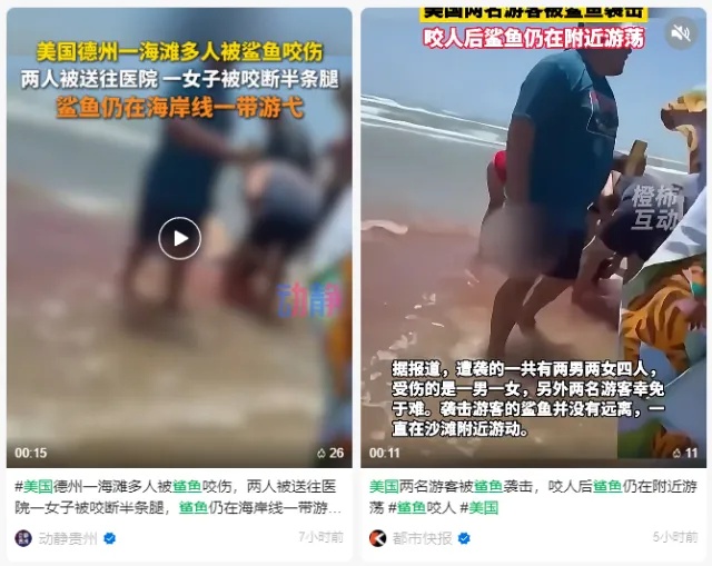 惠州双月湾有鲨鱼出没咬人？当地辟谣