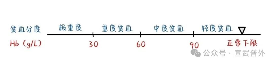 一分钟带你了解血常规 一分钟带你了解血常规