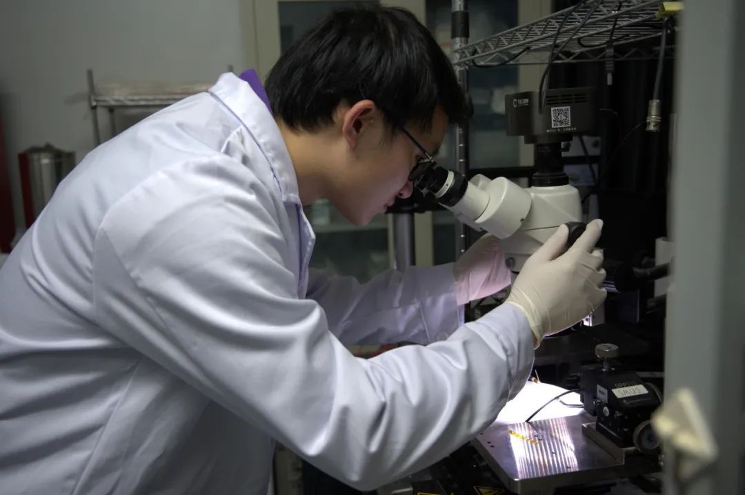 又甜又飒！清华博士情侣毕业双双奔赴祖国中部