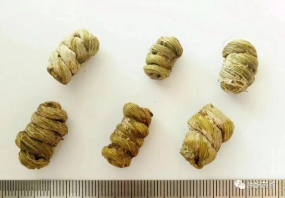 夏天出汗多、口干舌燥易上火？“滋阴圣品、药中黄金” 临床验方、食疗方推荐