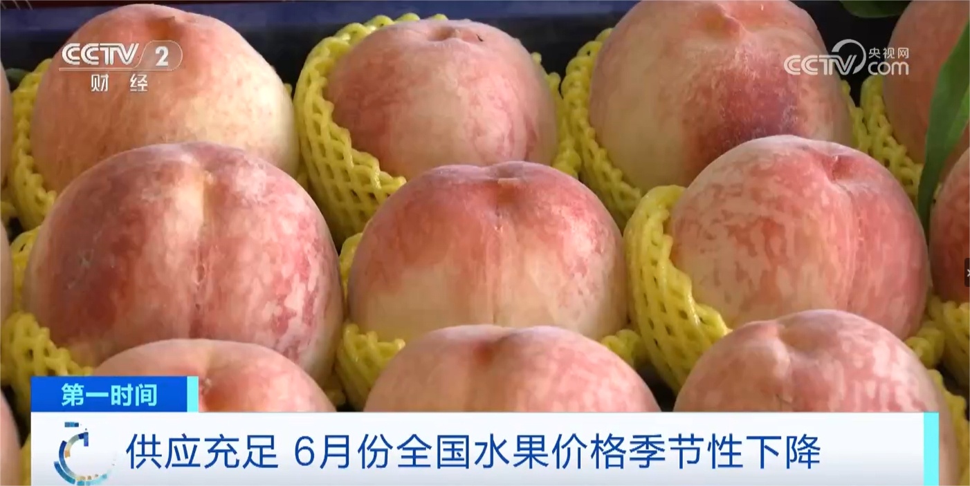 端午节的吃瓜群众全部导航