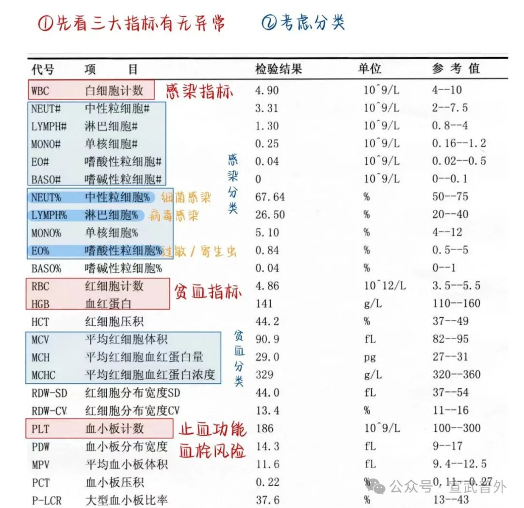 一分钟带你了解血常规 一分钟带你了解血常规
