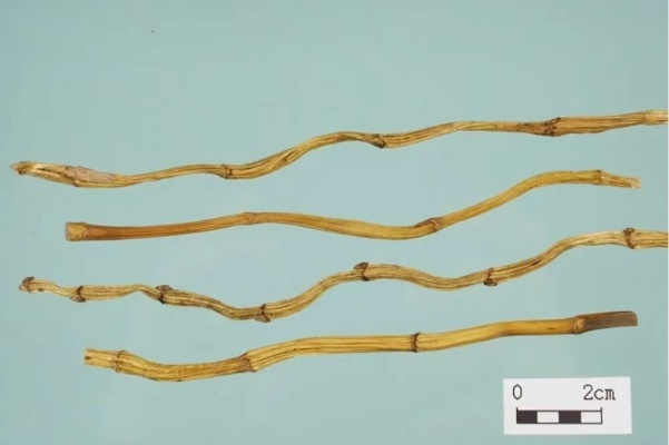 夏天出汗多、口干舌燥易上火？“滋阴圣品、药中黄金” 临床验方、食疗方推荐