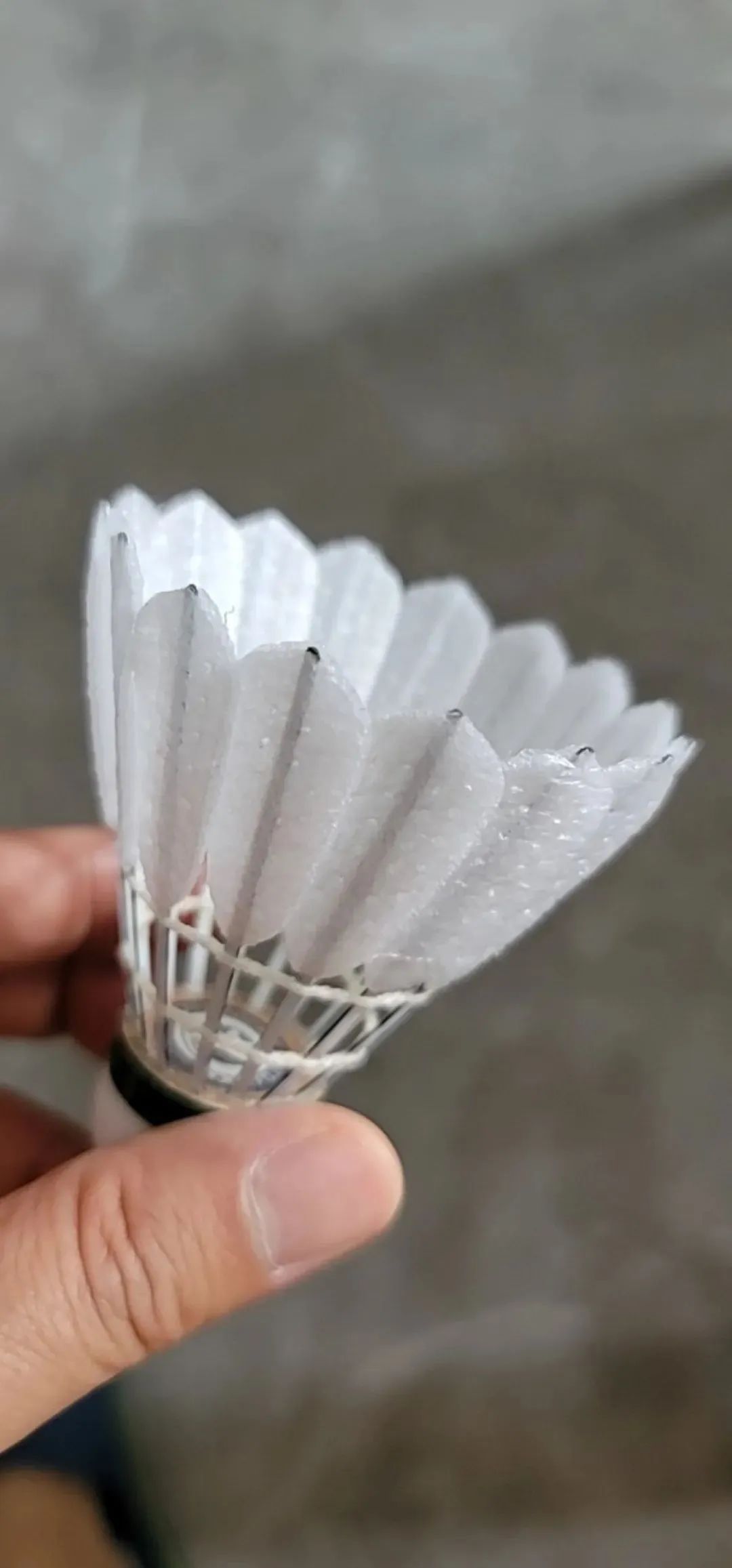 月薪2万元也用不起？羽毛球价格飞涨，广州有老板却直言：赚不到钱