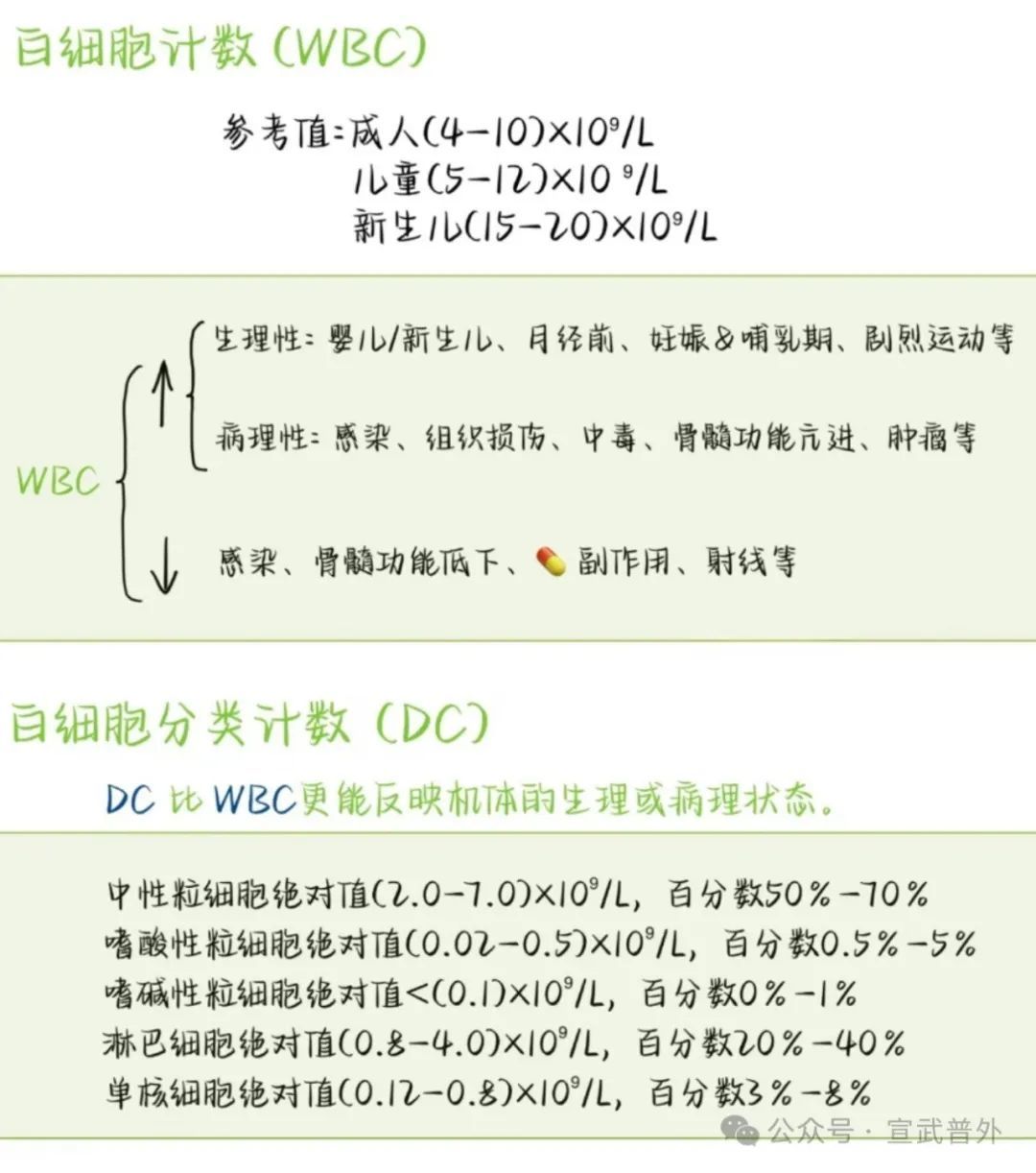 一分钟带你了解血常规 一分钟带你了解血常规