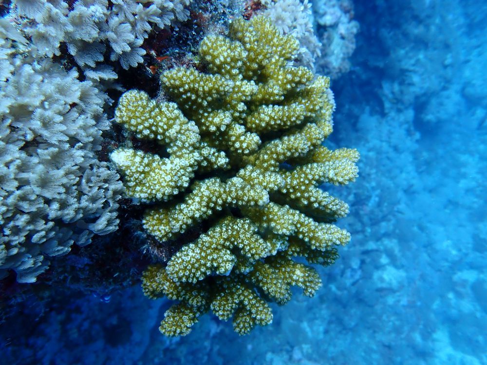 镜头下的黄岩岛 每一帧都是壁纸 镜头下的黄岩岛 每一帧都是壁纸