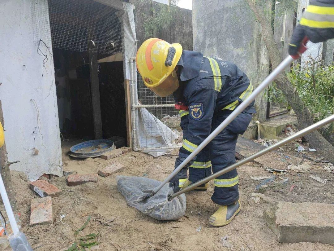 一天5起!深圳多地有蛇出没 一天5起!深圳多地有蛇出没