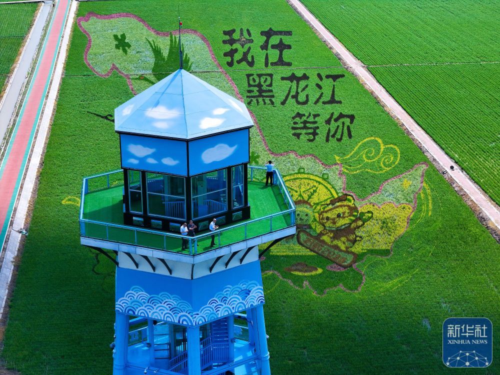 万亩水稻公园铺展壮美稻田画卷