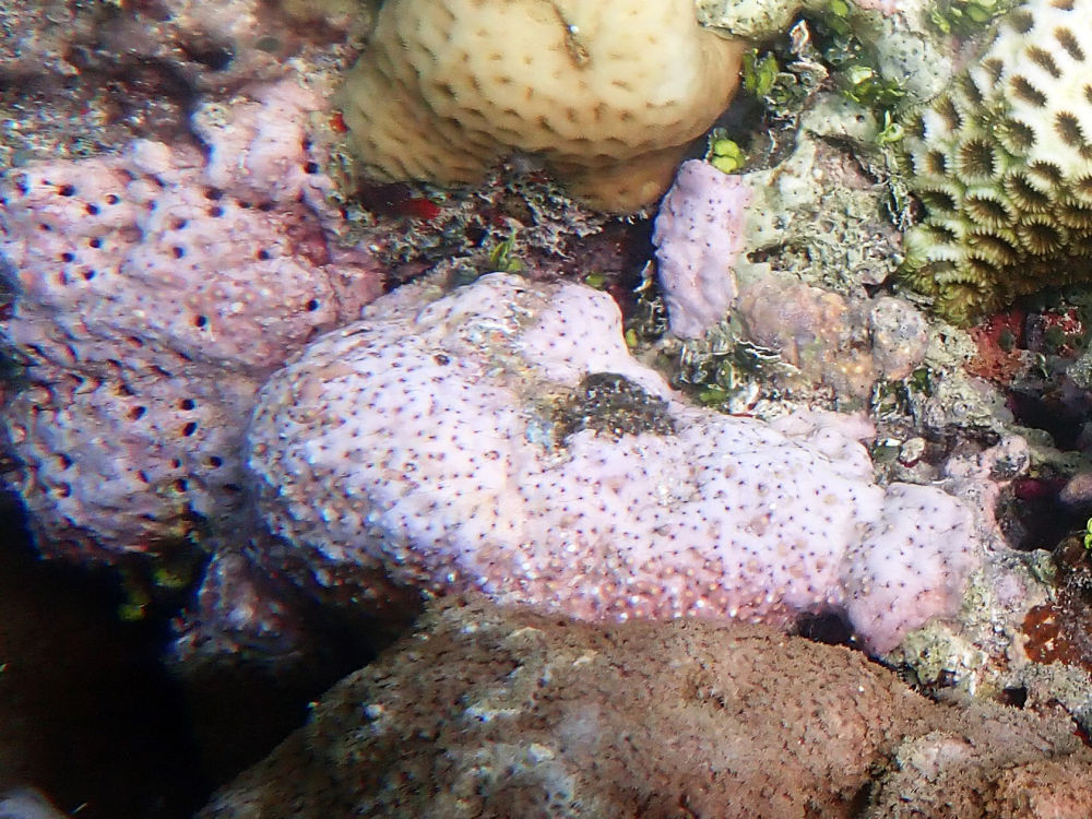 镜头下的黄岩岛 每一帧都是壁纸 镜头下的黄岩岛 每一帧都是壁纸