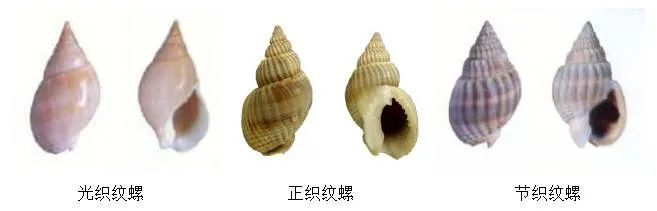 食用它可致命!吃货们点外卖要注意了... 食用它可致命!吃货们点外卖要注意了...