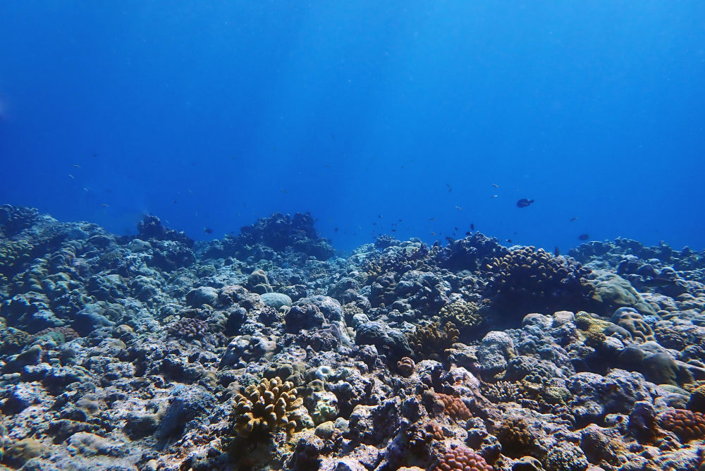 镜头下的黄岩岛 每一帧都是壁纸 镜头下的黄岩岛 每一帧都是壁纸