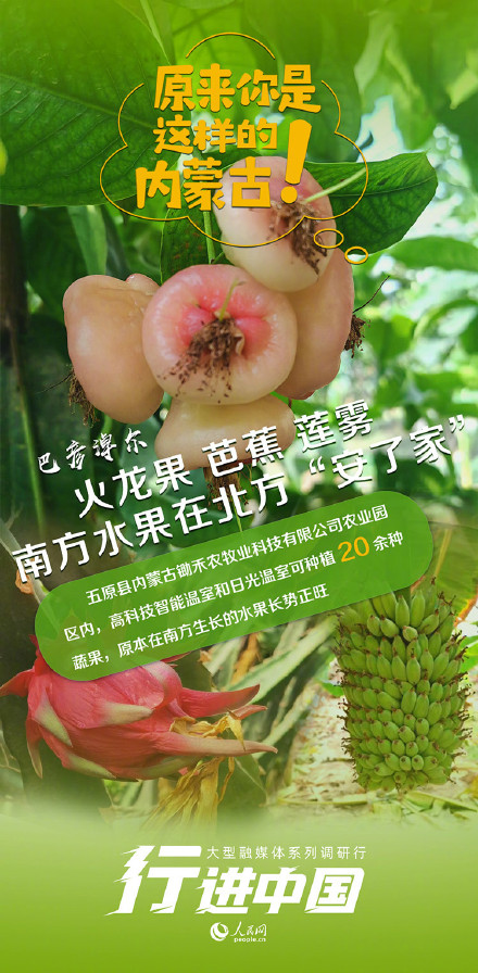 来自猫猫的肯定！世界五分之一的猫砂产自这个县