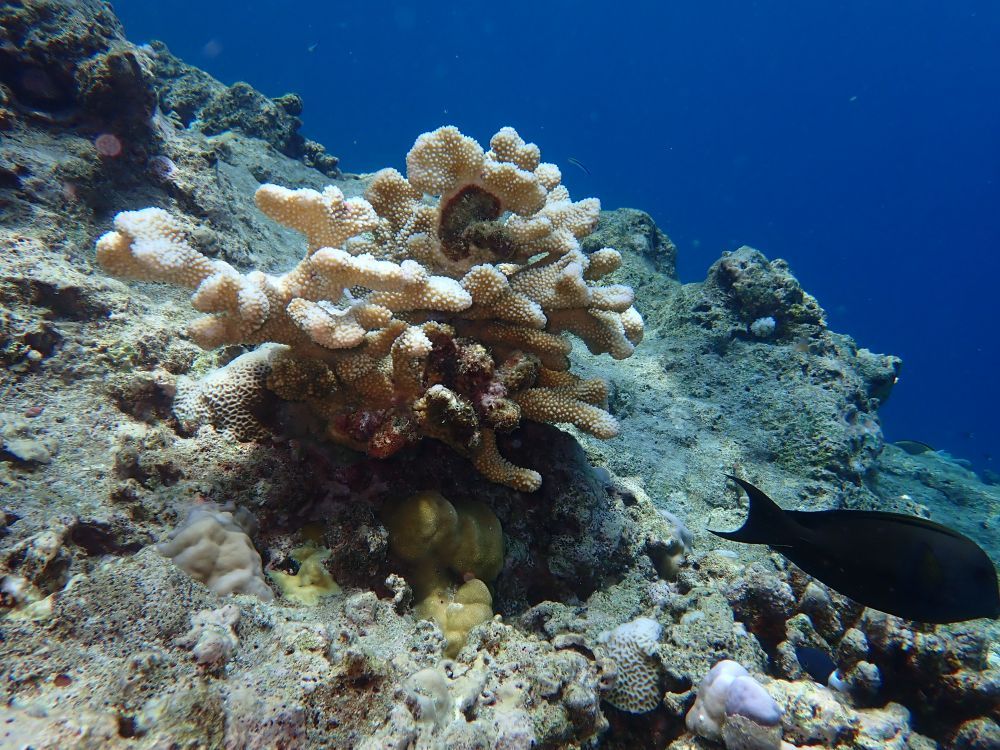 镜头下的黄岩岛 每一帧都是壁纸 镜头下的黄岩岛 每一帧都是壁纸