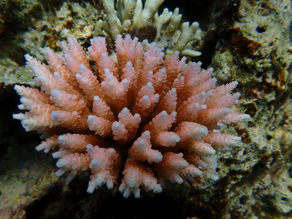 镜头下的黄岩岛 每一帧都是壁纸 镜头下的黄岩岛 每一帧都是壁纸