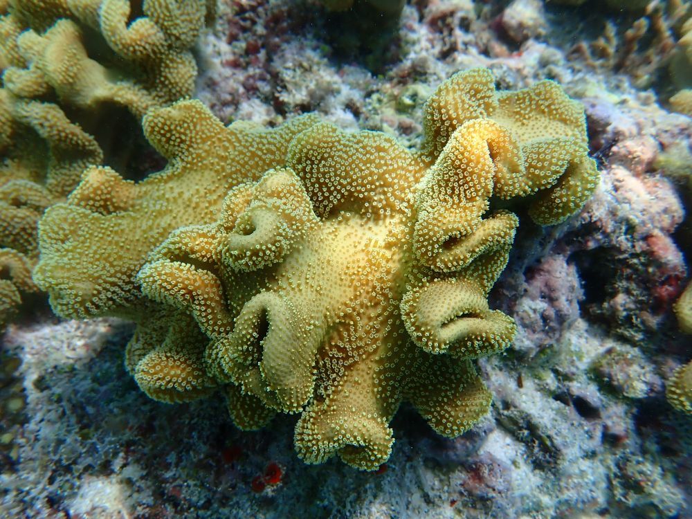 镜头下的黄岩岛 每一帧都是壁纸 镜头下的黄岩岛 每一帧都是壁纸