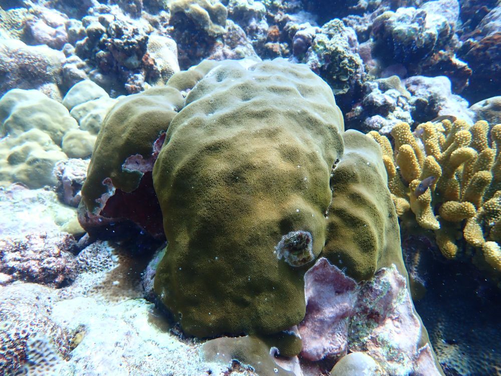 镜头下的黄岩岛 每一帧都是壁纸 镜头下的黄岩岛 每一帧都是壁纸