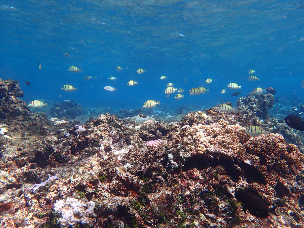 镜头下的黄岩岛 每一帧都是壁纸 镜头下的黄岩岛 每一帧都是壁纸