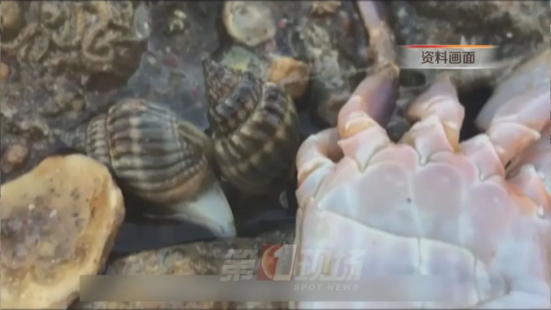 食用它可致命!吃货们点外卖要注意了... 食用它可致命!吃货们点外卖要注意了...