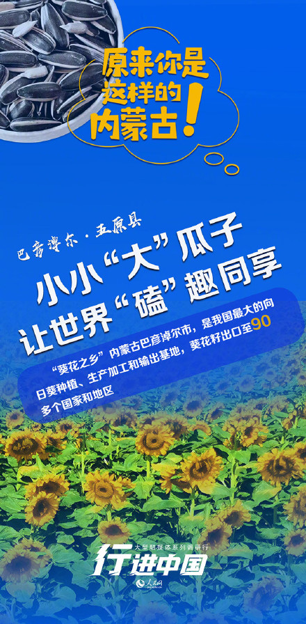 来自猫猫的肯定！世界五分之一的猫砂产自这个县