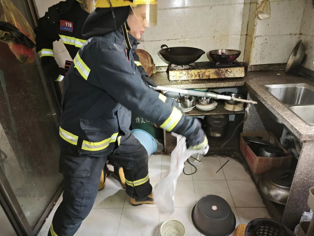 一天5起!深圳多地有蛇出没 一天5起!深圳多地有蛇出没