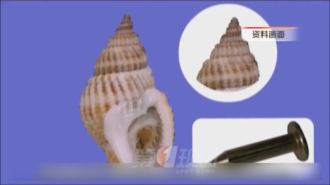 食用它可致命!吃货们点外卖要注意了... 食用它可致命!吃货们点外卖要注意了...