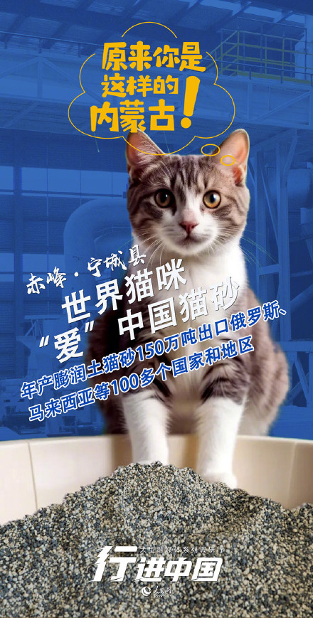 来自猫猫的肯定！世界五分之一的猫砂产自这个县