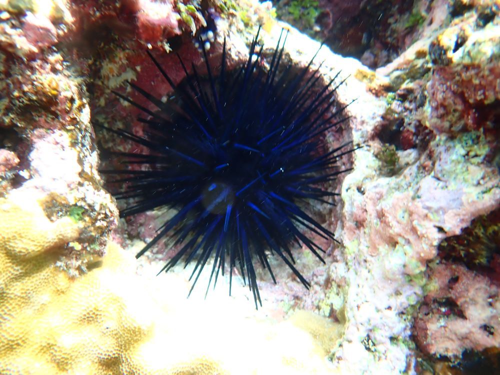 镜头下的黄岩岛 每一帧都是壁纸 镜头下的黄岩岛 每一帧都是壁纸