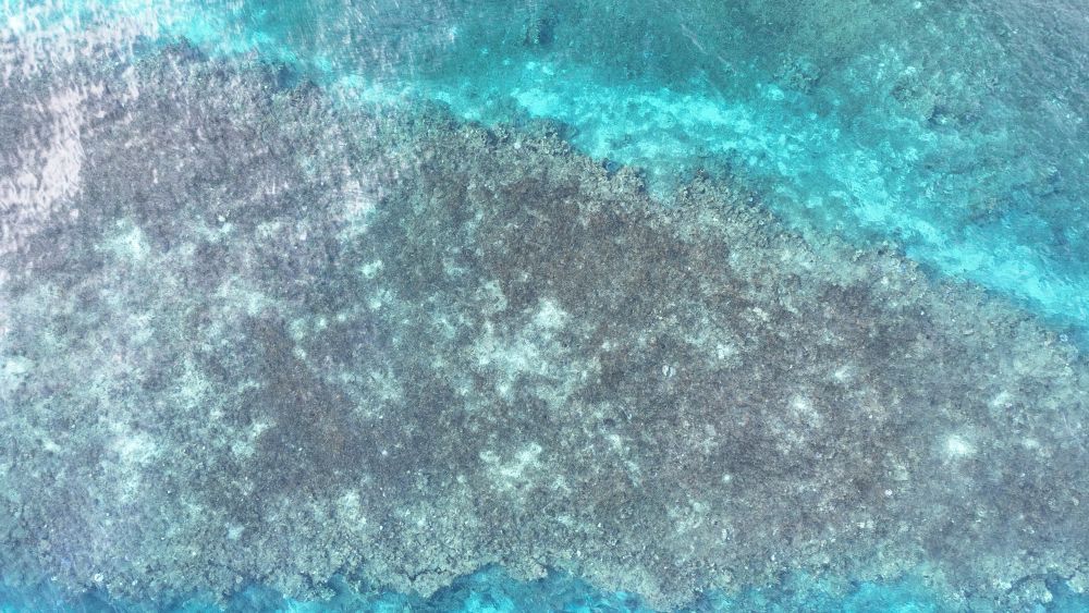 镜头下的黄岩岛 每一帧都是壁纸 镜头下的黄岩岛 每一帧都是壁纸