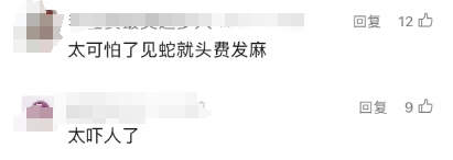 头皮发麻！男子裤子里装104条活蛇
