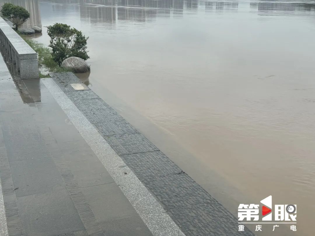 今年嘉陵江首轮洪峰已抵达重庆中心城区