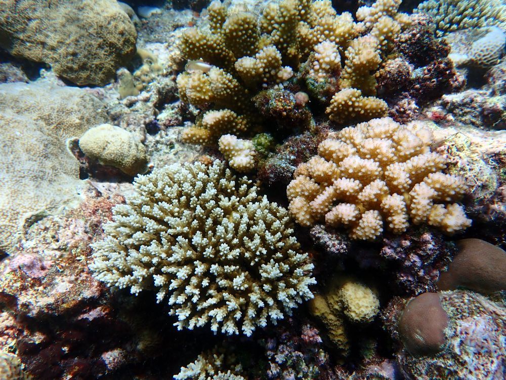 镜头下的黄岩岛 每一帧都是壁纸 镜头下的黄岩岛 每一帧都是壁纸