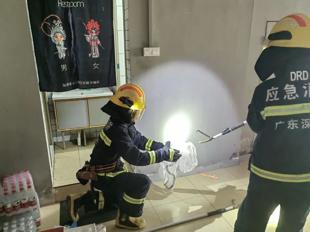 一天5起!深圳多地有蛇出没 一天5起!深圳多地有蛇出没
