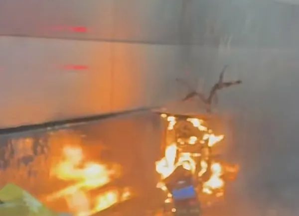 “该好好管管了!”电动车进隧道,起火烧成空壳!上海警方通报→ “该好好管管了!”电动车进隧道,起火烧成空壳!上海警方通报→