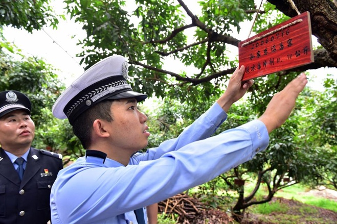 “爸，咱俩这回一定说话算话……”