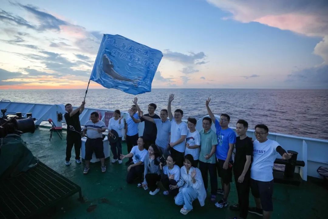 除了寻找“海棠”，我们还在寻找什么？