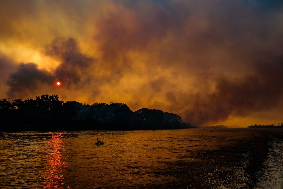 英媒:世界最大湿地今年连发火灾,烧毁面积超过76万公顷 英媒:世界最大湿地今年连发火灾,烧毁面积超过76万公顷