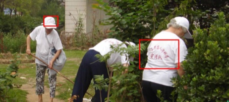 编造高级生命,宣扬有病不治,传播迷信邪说,一非法组织受到惩治 编造高级生命,宣扬有病不治,传播迷信邪说,一非法组织受到惩治