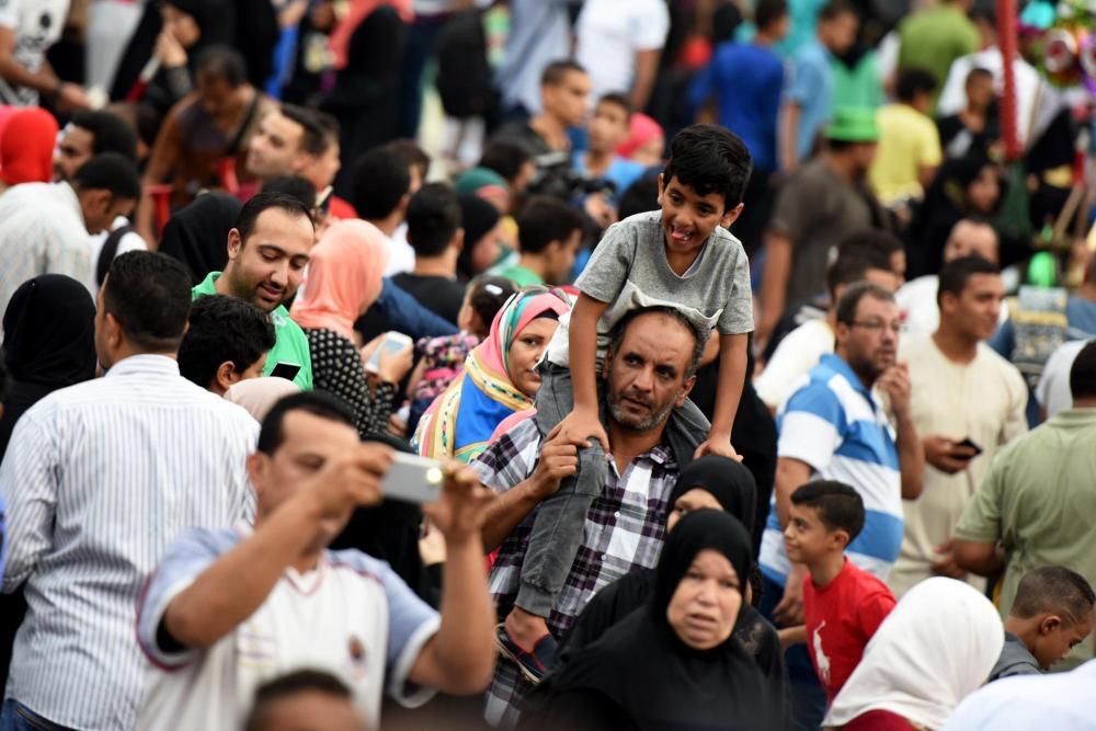 大饼涨价一毛五 埃及社会抖三抖 大饼涨价一毛五 埃及社会抖三抖