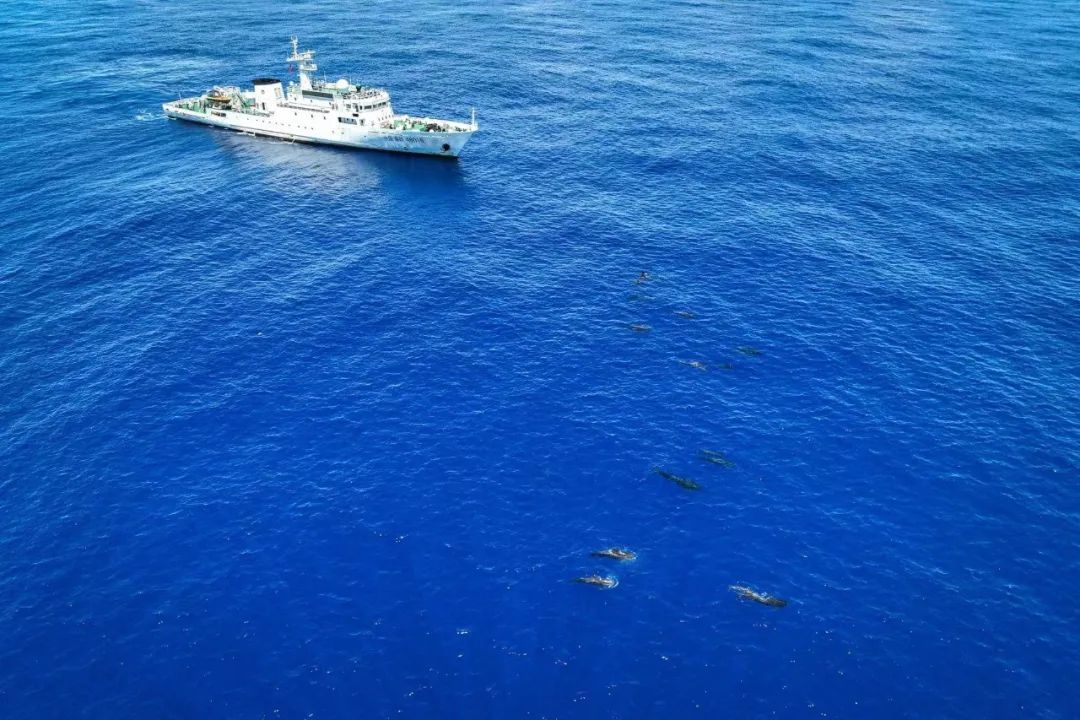 除了寻找“海棠”，我们还在寻找什么？