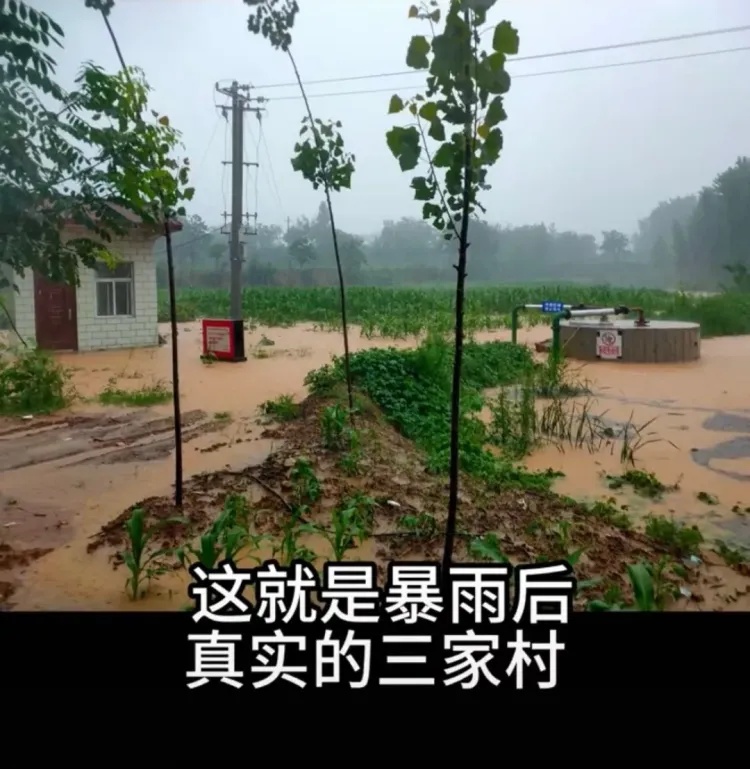 24岁当上村长!这位河南姑娘“在做一件很酷的事” 24岁当上村长!这位河南姑娘“在做一件很酷的事”