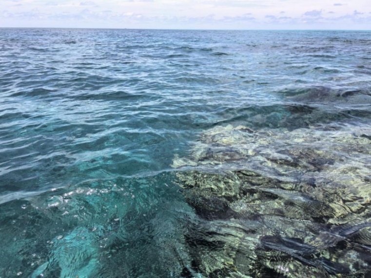 独家解读黄岩岛海域“全面体检”报告 独家解读黄岩岛海域“全面体检”报告